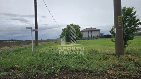 Teren Dumbrăvița - poza 2