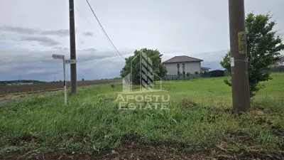 Teren Dumbrăvița - poza 2