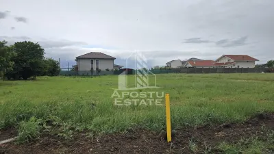 Teren Dumbrăvița - poza 3