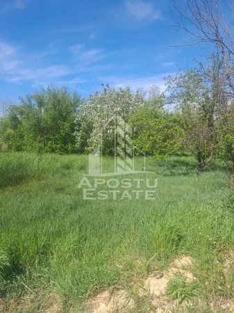 Casă 2 camere Cruceni - poza 12