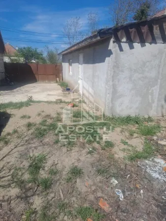 Casă 2 camere Cruceni - poza 13
