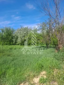 Casă 2 camere Cruceni - poza 15