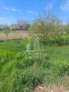 Casă 2 camere Cruceni - poza 17