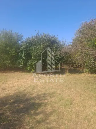 Casă 2 camere Cruceni - poza 6