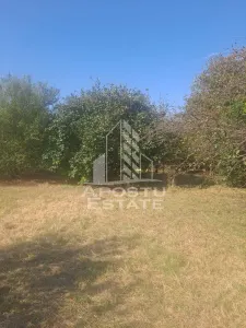 Casă 2 camere Cruceni - poza 6