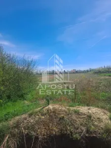 Casă 2 camere Cruceni - poza 9