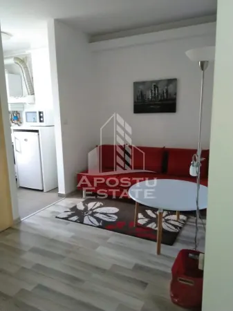 Apartament 1 camera Timișoara - poza 1