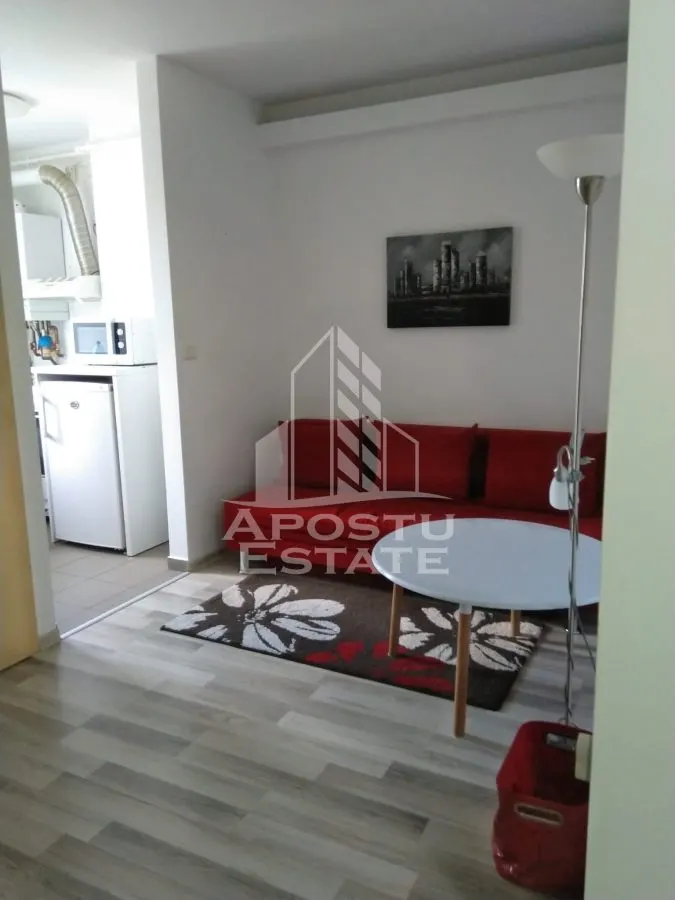 Apartament 1 camera Timișoara - poza 1