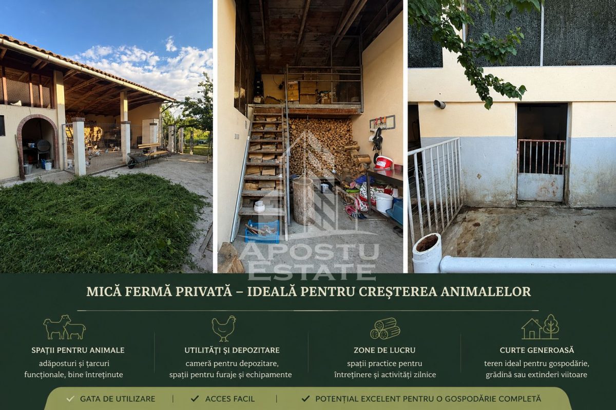 Casă 7 camere Giarmata-Vii - poza 13