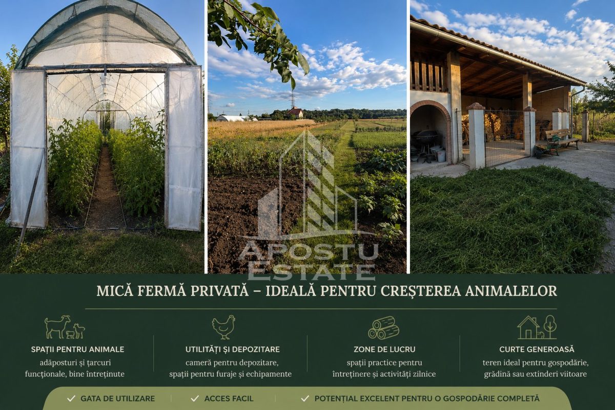 Casă 7 camere Giarmata-Vii - poza 15