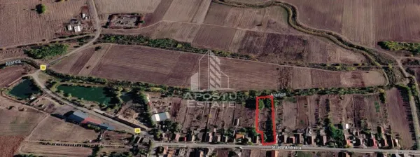 Teren Sânnicolau Mare - poza 1