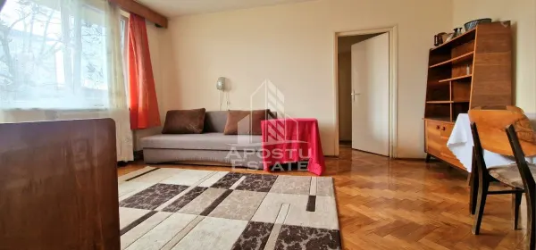 Apartament 2 camere Arad - poza 3