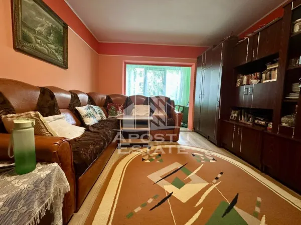 Apartament 3 camere Timișoara - poza 1