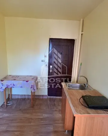 Apartament 1 camera Timișoara - poza 3