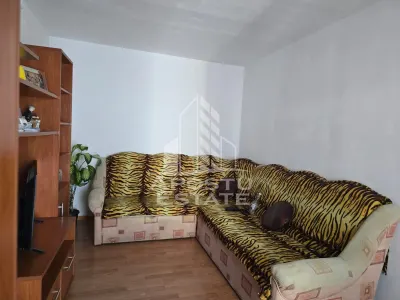 Apartament 1 camera Arad - poza 1
