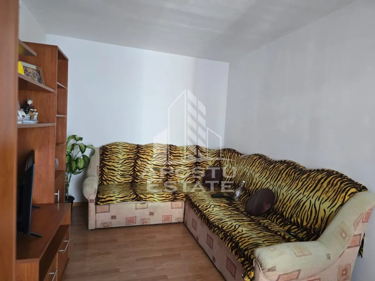 Apartament 1 camera Arad - poza 1