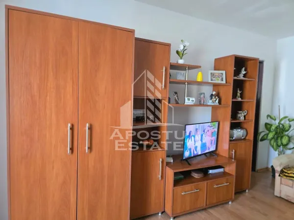 Apartament 1 camera Arad - poza 4