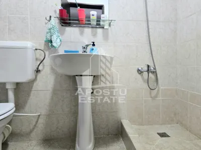 Apartament 1 camera Arad - poza 7