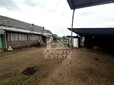 Casă 3 camere Pesac - poza 2
