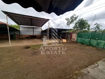 Casă 3 camere Pesac - poza 3