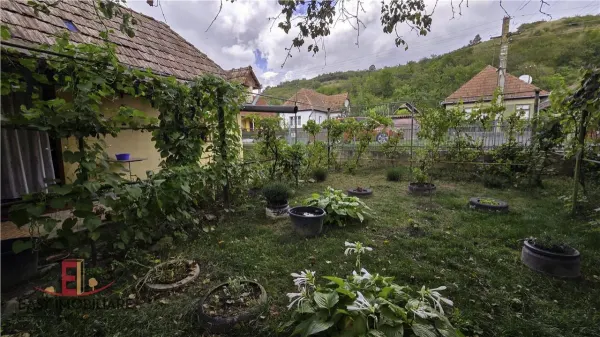 Casă 2 camere Acatari - poza 11