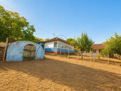 Casă 3 camere Costuleni - poza 2