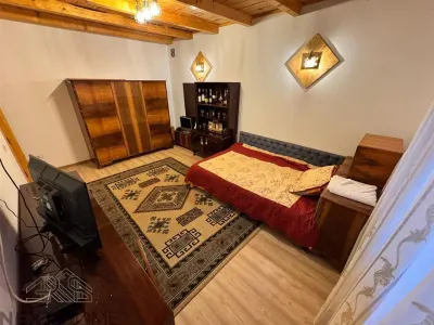 Casă 10 camere Bolotești - poza 11