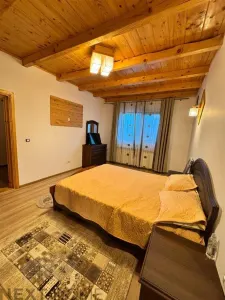 Casă 10 camere Bolotești - poza 13