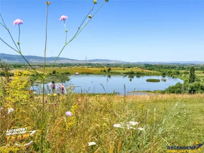 Teren Covasna - poza 6