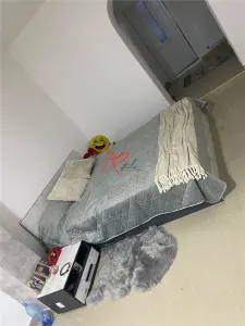 Apartament 2 camere București - poza 5