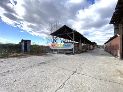 Spațiu industrial Filipestii de Padure - poza 22