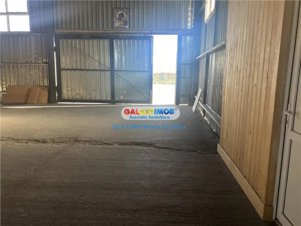 Spațiu industrial Filipestii de Padure - poza 5