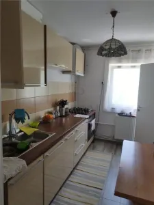 Apartament 3 camere Timișoara - poza 2