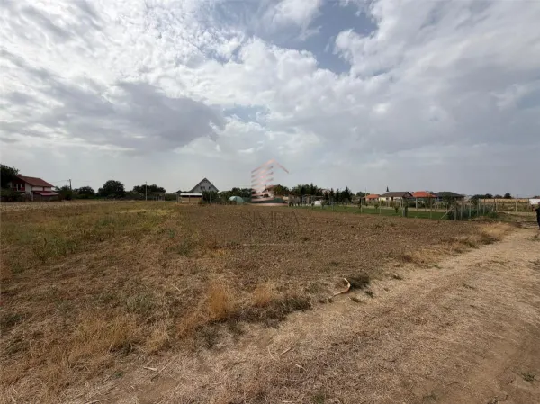 Teren Cauaceu - poza 2