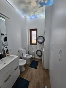 Casă 5 camere Moșnița Nouă - poza 4
