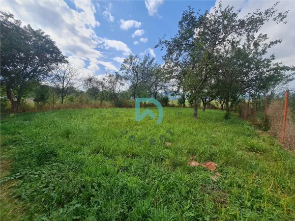 Casă 3 camere Crizbav - poza 5