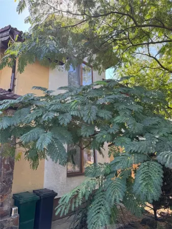 Casă 5 camere Dumbrăvița - poza 3