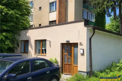 Spațiu comercial Târgu Mureș - poza 1