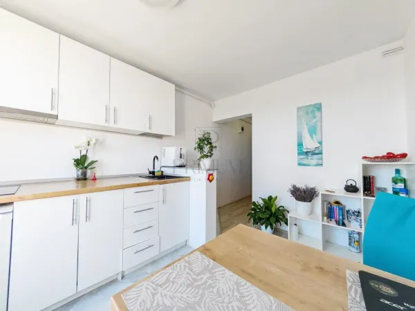 Apartament 1 camera Timișoara - poza 4
