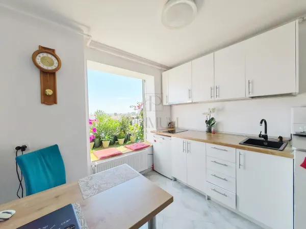Apartament 1 camera Timișoara - poza 5