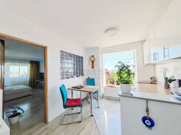 Apartament 1 camera Timișoara - poza 7