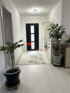 Casă 3 camere Dipsa - poza 12