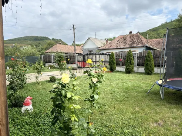 Casă 3 camere Dipsa - poza 21