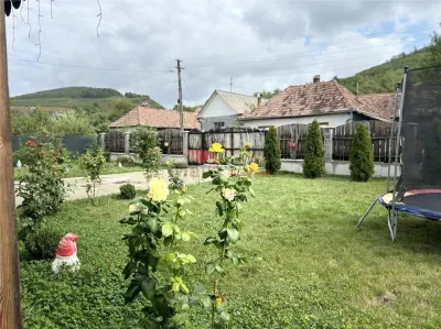 Casă 3 camere Dipsa - poza 21