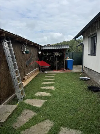 Casă 3 camere Dipsa - poza 24
