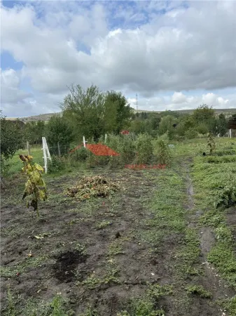 Casă 3 camere Dipsa - poza 5