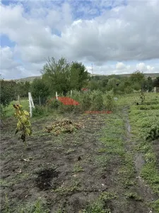 Casă 3 camere Dipsa - poza 5