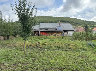 Casă 3 camere Dipsa - poza 6