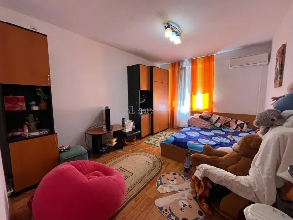 Apartament 1 camera Lugoj - poza 11