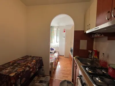 Apartament 1 camera Lugoj - poza 15